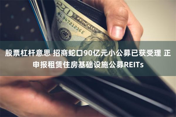 股票杠杆意思 招商蛇口90亿元小公募已获受理 正申报租赁住房基础设施公募REITs