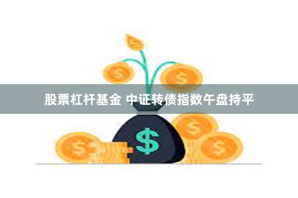 股票杠杆基金 中证转债指数午盘持平