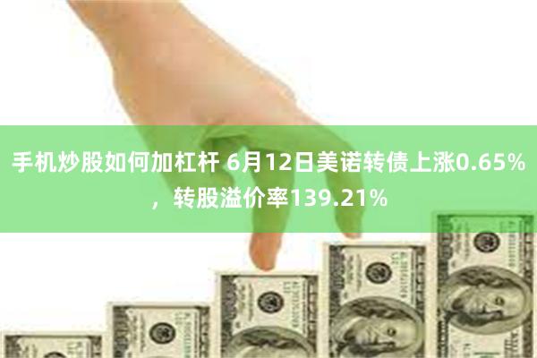 手机炒股如何加杠杆 6月12日美诺转债上涨0.65%，转股溢价率139.21%