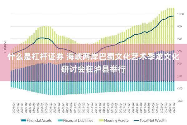 什么是杠杆证券 海峡两岸巴蜀文化艺术季龙文化研讨会在泸县举行