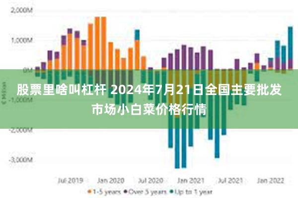 股票里啥叫杠杆 2024年7月21日全国主要批发市场小白菜价格行情