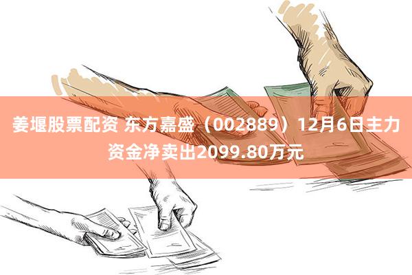 姜堰股票配资 东方嘉盛（002889）12月6日主力资金净卖出2099.80万元