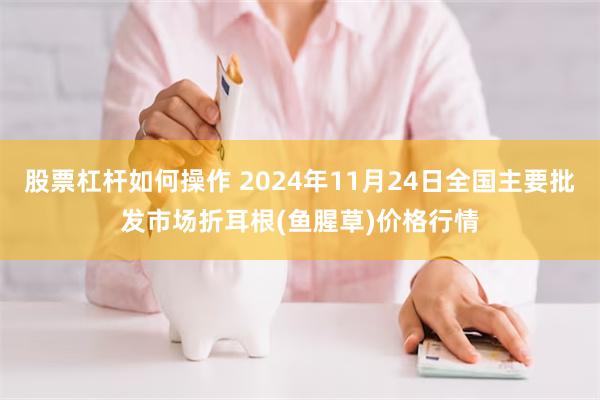 股票杠杆如何操作 2024年11月24日全国主要批发市场折耳根(鱼腥草)价格行情