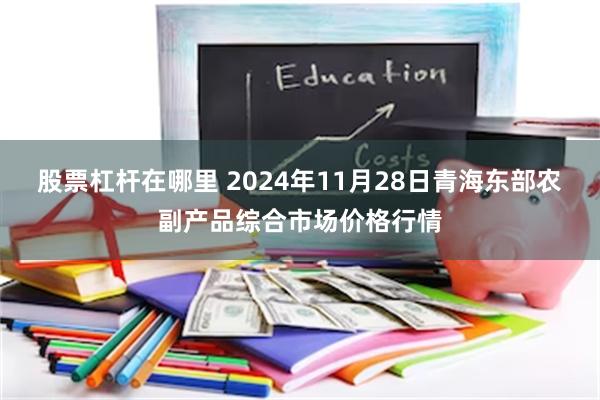 股票杠杆在哪里 2024年11月28日青海东部农副产品综合市场价格行情