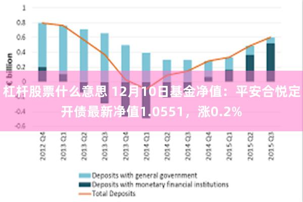 杠杆股票什么意思 12月10日基金净值：平安合悦定开债最新净值1.0551，涨0.2%