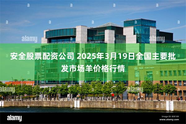 安全股票配资公司 2025年3月19日全国主要批发市场羊价格行情